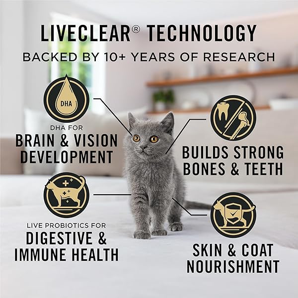 PURINA PRO PLAN LIVECLEAR DRY CAT FOOD FOR KITTENS CAT ALLERGEN REDUCER CHICKEN AND RICE FORMULA – 3.2 LB. BAG