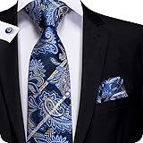 Hi-Tie Men Navy Blue Gold Paisley Floral Tie
