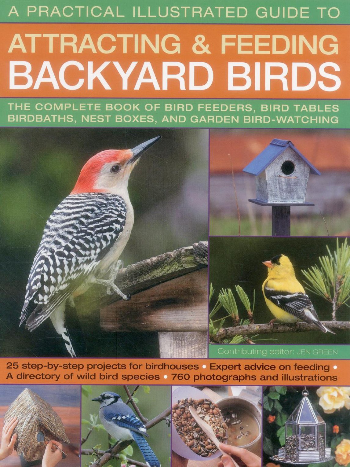 A Practical Illustrated Guide To Attracting And Feeding Backyard
