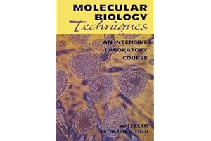Molecular Biology Techniques: An Intensive Laboratory Course