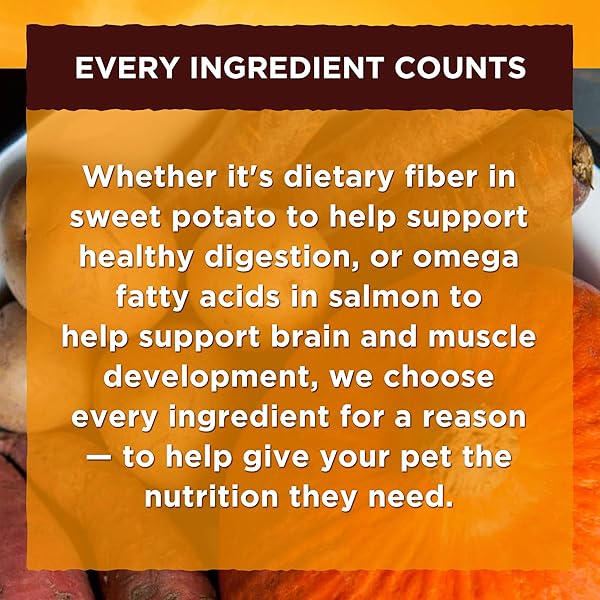 NATURE’S RECIPE SMALL BREED DRY DOG FOOD, CHICKEN, SWEET POTATO & PUMPKIN RECIPE, 4 POUNDS, GRAIN FREE