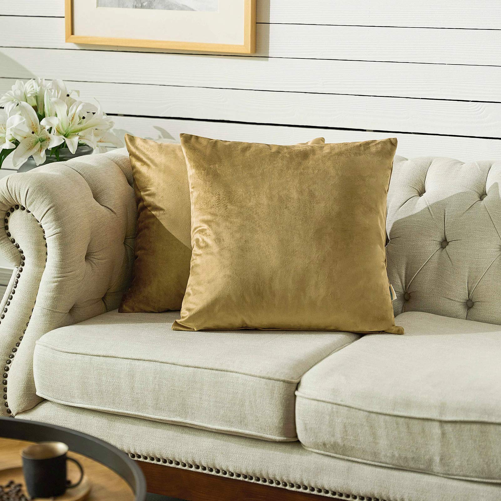 Photo 1 of FY FIBER HOUSE Pack of 2 Velvet Throw Pillow Covers Decorative Square Pillowcase Soft Solid Cushion Case for SoFa/Couch Use, 18 x 18 Inch Coffee