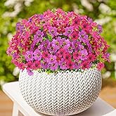 XYBGHFU Artificial Fake Flowers 12 Bundles Faux Plants Outdoor Plastic Flowers 2 Mixed Colors Daisy Eucalyptus UV Resistant Silk Flowers for Garden Porch Planters Decor