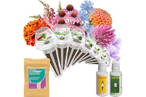 INBLOOM Flower Seed Pod Kit for AeroGarden, iDoo, Ahopegarden with Coneflower, Dwarf Petunia, French Marigold, Dahlia, Compatible with Hydroponics Growing System, Indoor Garden Supplies (7-Pod)
