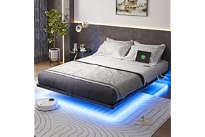 Liians Queen Size Floating Bed Frame with USB Charging Station and LED Lights, Modern Metal Platform Bed Frame with Mattress Slide Stopper, Noise Free No Box Spring Needed and Easy Assembly