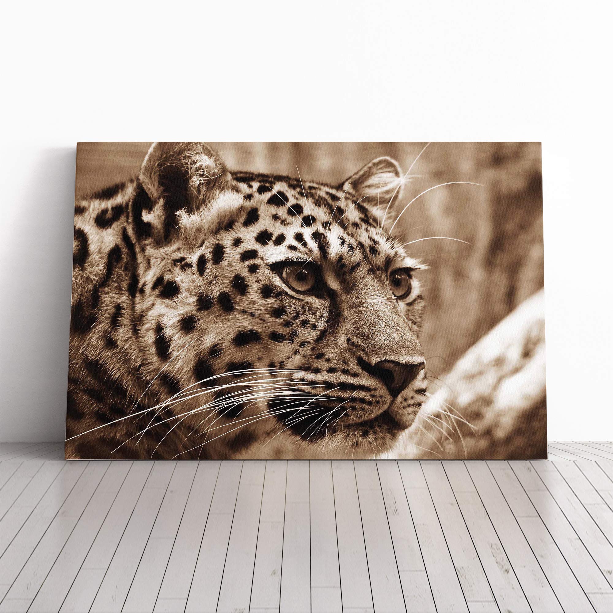 Leopard Vol.2 Canvas Print | Gallery Wrapped 30mm Frame Wall Art | 20x14 inches | Ready to Hang | Modern Animals Picture | Living Room Bedroom Lounge Office