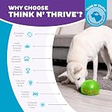 Outward Hound Snoop Interactive Treat Dispensing Dog Toy Large Green view 7