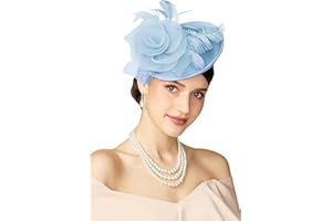 BABEYOND Fascinators Hats for Women - Tea Party Kentucky Fascinator Derby Pillbox Hat Mesh Feathers Headband with Hair Clip