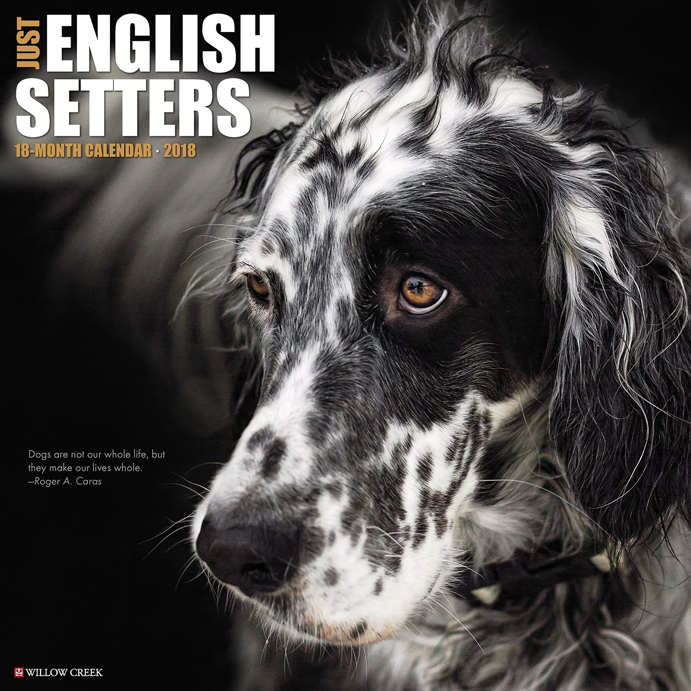 editions english setters
