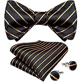 DiBanGu Men Bow Tie Paisley Striped Self-Bow Tie for Men and Silk Woven Bowtie Pocket Square Cufflinks Wedding Party