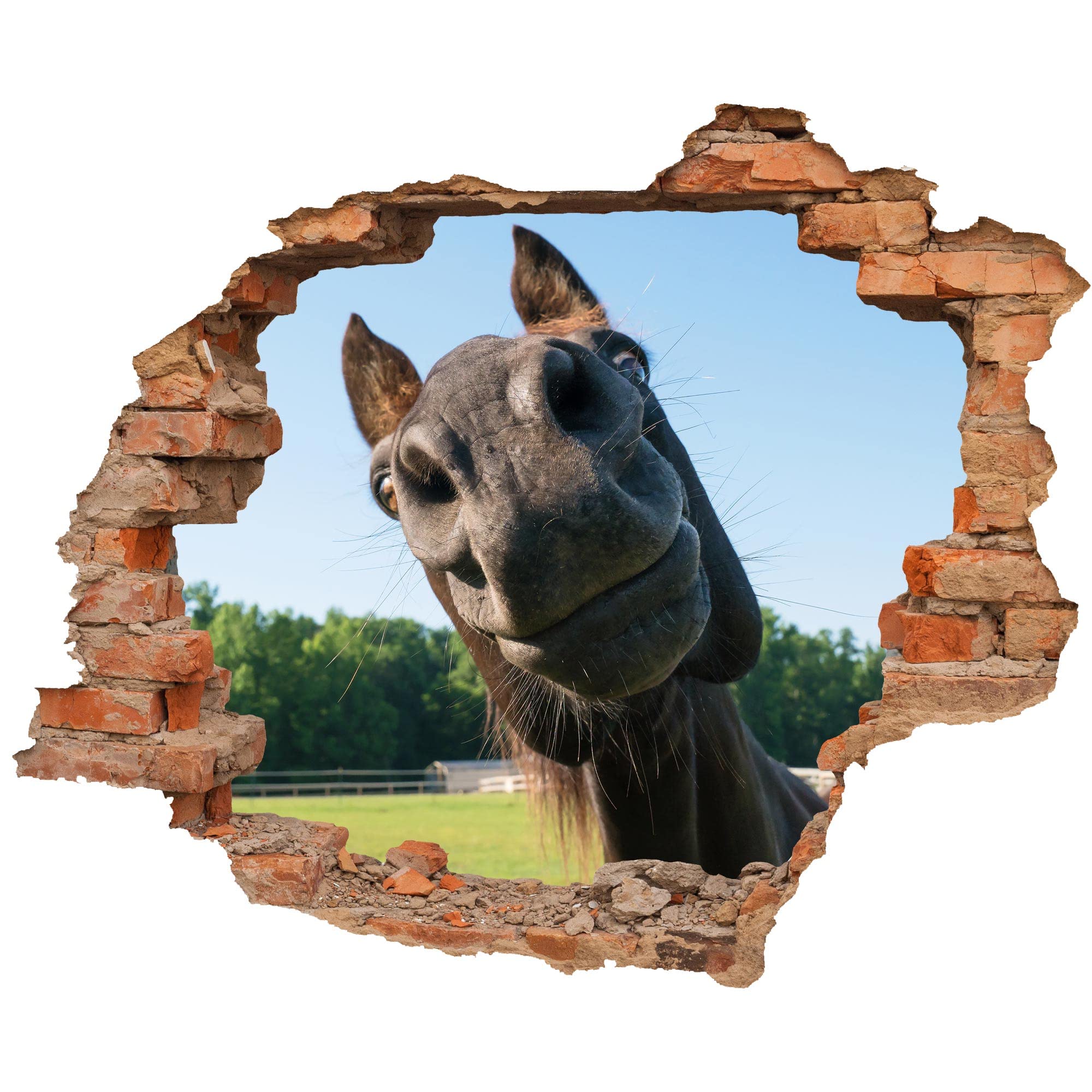 WCB Wall Sticker 90 x 74 cm with View of Horse Head