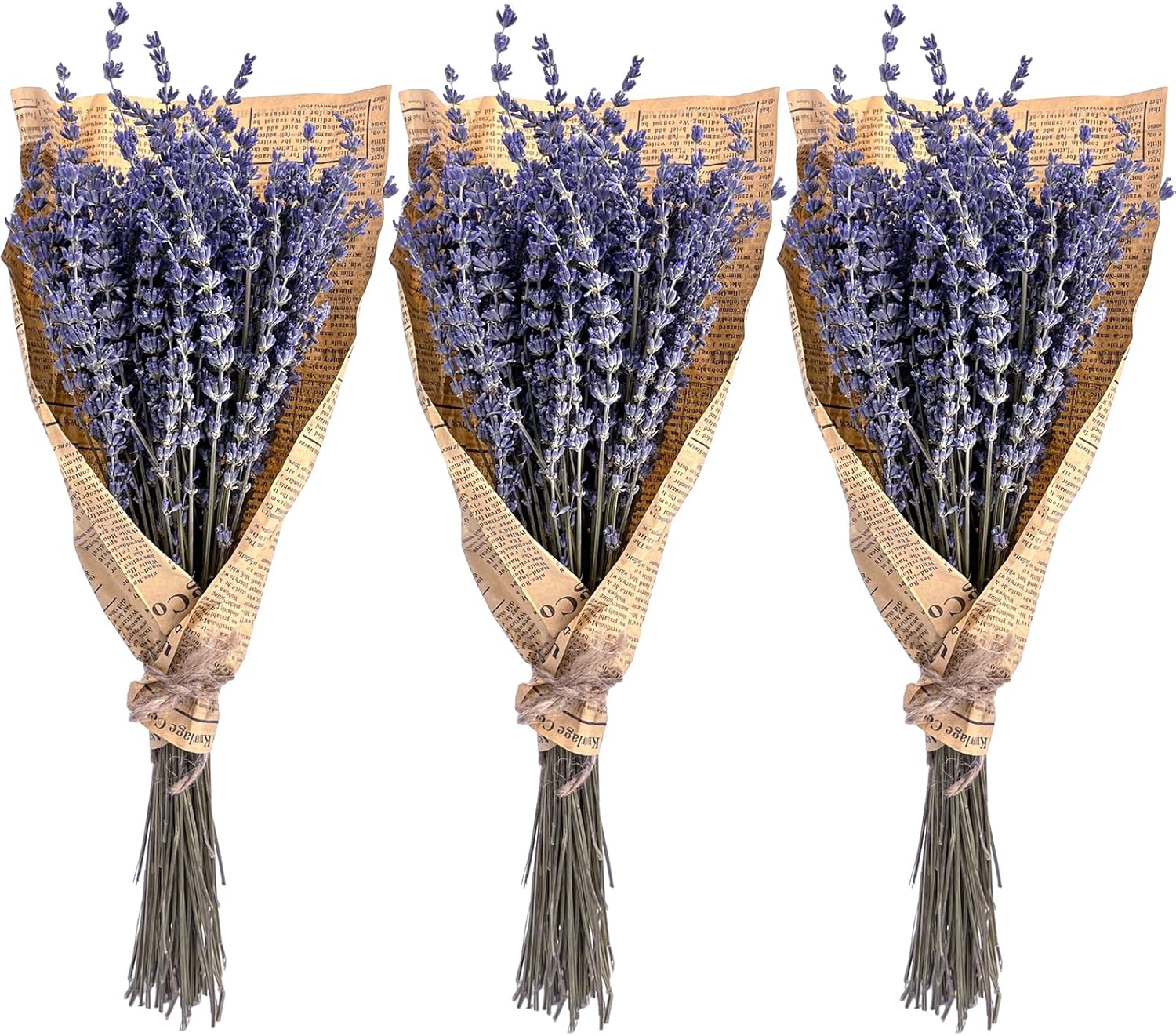 Dried & Preserved Flora - 230+ Stems Dried Lavender Flowers Bundles, 3 Bunches Stems Natural Dry Lavender Flowers Sprigs Stems 17