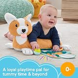 Fisher-Price 3-in-1 Puppy Tummy Time Wedge with Mirror Teether Rattle HJW10 view 3