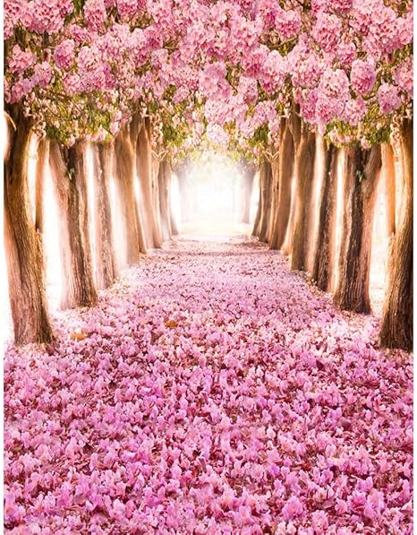 Amekon Fotografia Digital Fondos Pano De Fondo Para Estudio Fotografico Hogar Familia Fotografia Muro Floral Corazon Estampado Fondo De Fotografia 90 150cm H Amazon Es Electronica