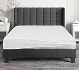 Sapphire Collection 200 Thread Count Egyptian Cotton Fitted Sheet Single White view 5