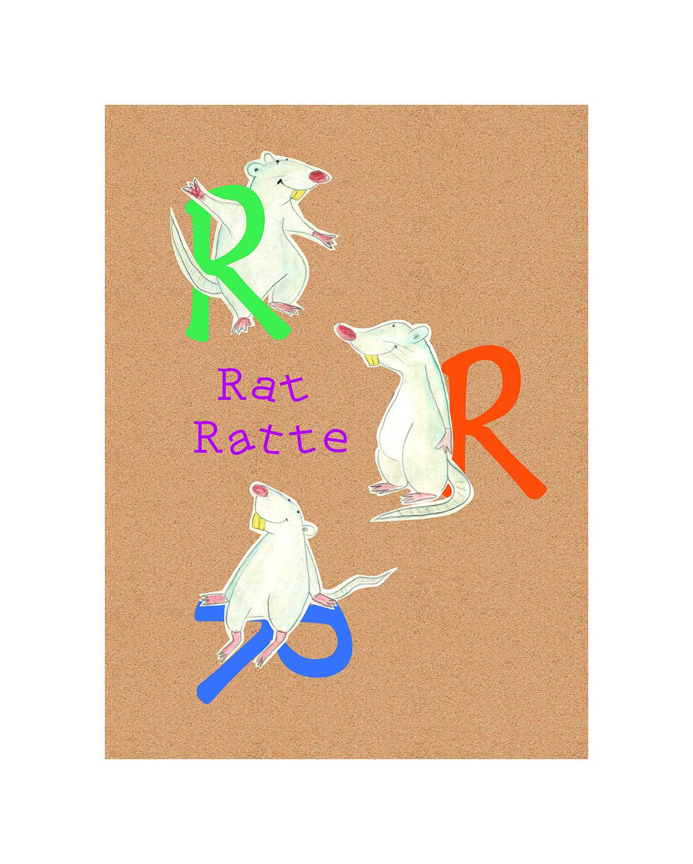 Komar Wall Picture | ABC Animal R | Posters, Children's Room, Letters, Picture, Living Room, Bedroom, Decoration, Art Print | Without Frame | P036R-40x50 | Size: 40 x 50 cm (Width x Height)