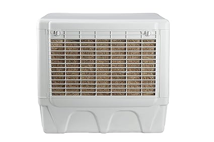 crompton ozone classic 54 price