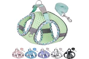 JOYPAWS Step in Dog Harness and Leash Set, No Pull Escape Proof Vest Harness with Soft Diamond Mesh and Reflective Bands, Adjustable Pet Outdoor Harnesses for Medium Size Dogs Sage M