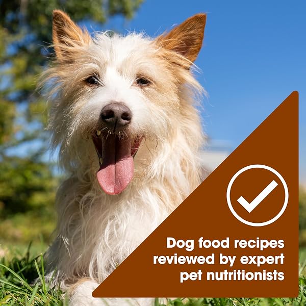 NATURE’S RECIPE GRAIN FREE WET DOG FOOD, CHICKEN & TURKEY RECIPE, 2.75 OUNCE CUP (PACK OF 12)
