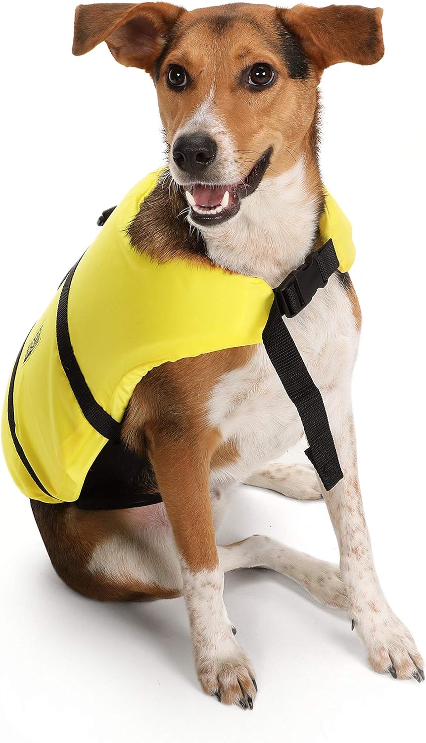small dog life vest