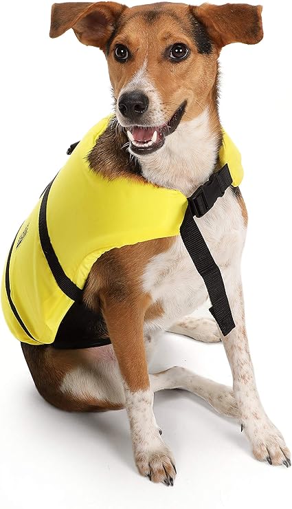 dog swim vest amazon