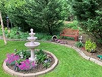 Review Image by F. Hartsock