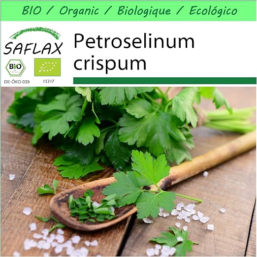 SAFLAX - Garden to Go - Ecológico - Perejil liso - 600 semillas ...