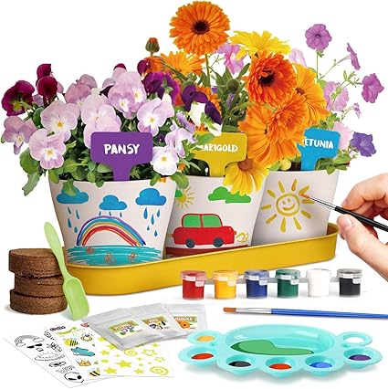 Amazon Com Xxtoys Paint Plant Flower Growing Kit Arts Crafts For Kids Kids Gardening Gifts For Girls Crafts For Girls Ages 10 12 Stem Science Project Grow Pansy Petunia