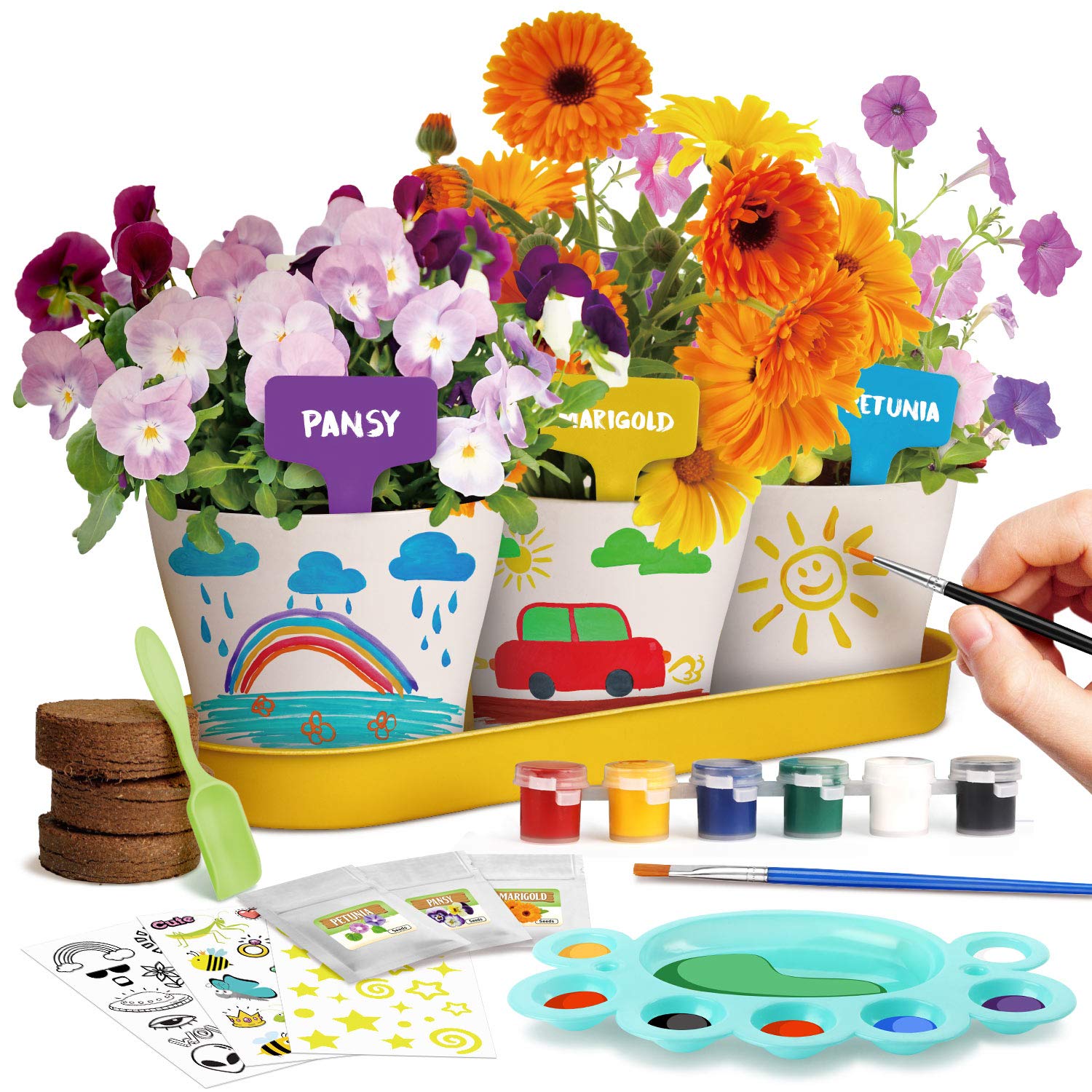 Dr. Daz Paint Plant Flower Growing Kit for Kids Flower Growing Gardening Girls Gifts Art and Craft Painting Kits for Kid Age 7 8 9 10 11 Grow Your Own Flower Garden