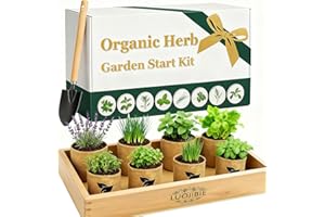 LUOJIBIE Organic Indoor Herb Garden Start Kit - Unique Gifts for Women, Christmas Gifts for Adults, Easy House Plant- Birthday for Women,House Warming Gift New Home- Fresh Herb Garden DIY Crafts for Adults