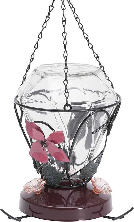 Perky Pet Blossom Edition 24 Ounce Glass Hummingbird Feeder 702