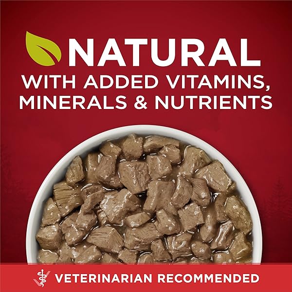 PURINA ONE HIGH PROTEIN WET DOG FOOD TRUE INSTINCT TENDER CUTS IN DOG FOOD GRAVY WITH REAL BEEF AND WILD-CAUGHT SALMON – (PACK OF 12) 13 OZ. CANS