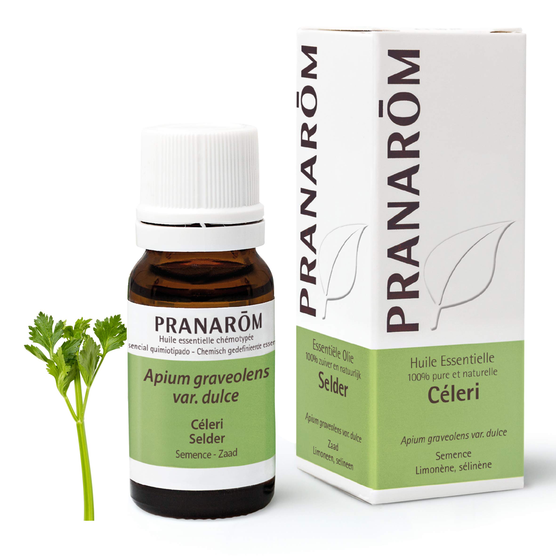 Pranarôm Essential Oil Celery (Apium graveolens VAR. Dulce) 10 ml