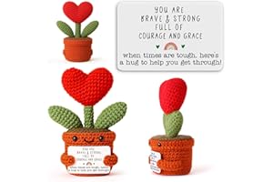 HWEIJM Crochet Heart Handmade Knitted Gifts, Get Well Gift for Surgery Recovery Patient, Cheer Up Encouragement Gift for Office Birthday Christmas for Exam Week Student & Deadline Coworker