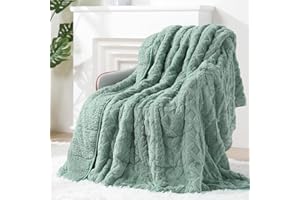 Eazfy Pro Super Soft Fuzzy Sherpa Fleece Weighted Blanket, 15 lbs Dual Sided Fluffy Heavy Weighted Blankets for Adults - No Bunching with Double Layers of Soft Inner Lining (60"x 80", 15 Pounds)