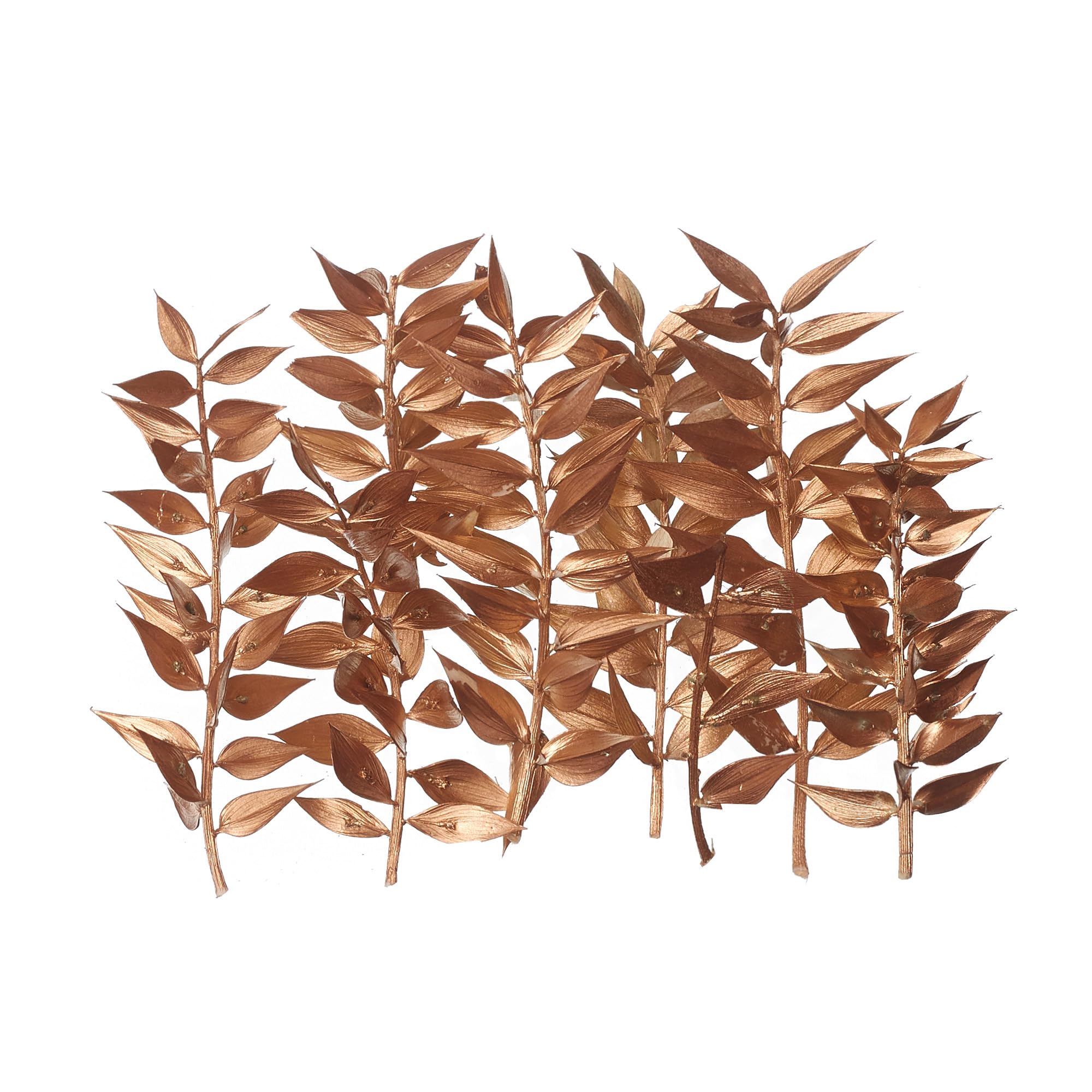 The Baked Studio - Original Dried Flower Ruscus Set For Cake & Cupcake Decorating & Others Crafts (Gold)