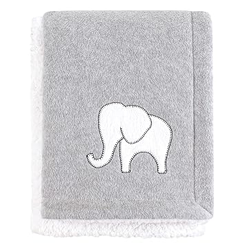 hudson baby blanket