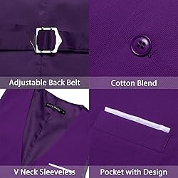 Barry.Wang Mens Purple Vest Formal/Leisure V-neck