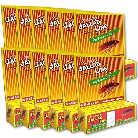 Jallad Line Strong Pest Control Chalk for Cockroach Termites Ants (Green) (Set of 12)