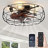 LEDIARY 20" Caged Ceiling Fans with Lights and