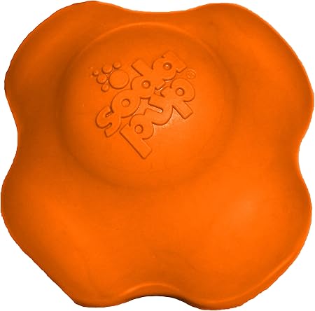 crazy bouncing ball for dogs