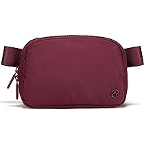 Amazon.com | Pander Two Way Zipper Fanny Pack Nylon
