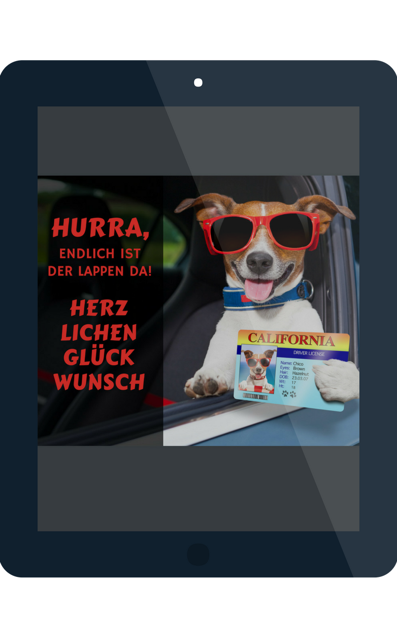 meyluu App - Geburtstagsgrüße, Liebessprüche, digitale Geburtstagskarte, Glückwunschkarte und