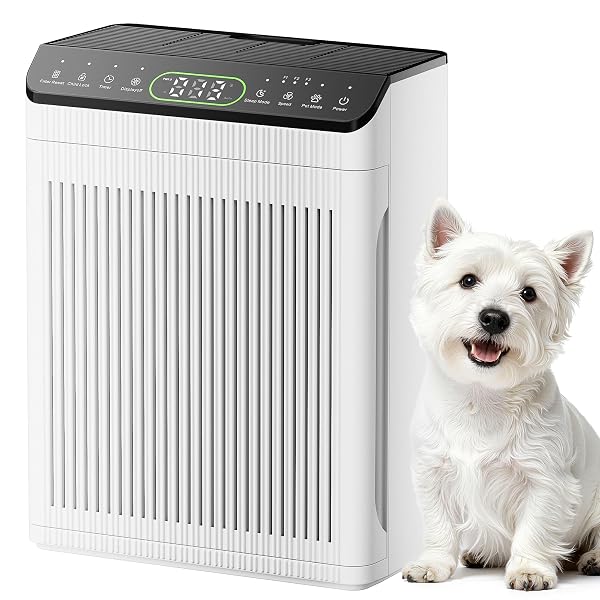 EVALIT AIR PURIFIERS FOR HOME LARGE ROOM, AIR...