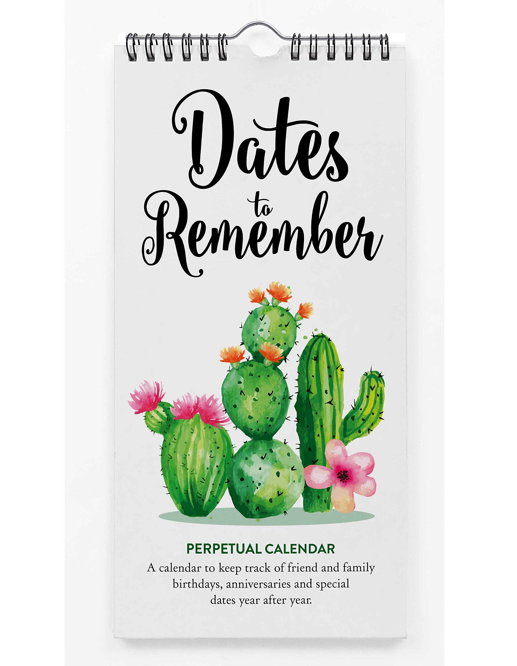 Inkdotpot Cactus Perpetual Calendar Birthday Wall Hanging Anniversary Special Event Reminder Calendar Book Journal Stationary Wall Hanging Birthday Gift Card Planner Organizer