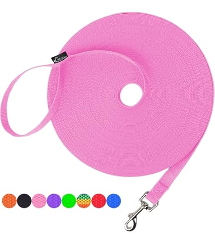 Amazon.com : 100FT Extra Long Leashes for Dog Training, Reflective Threads  Check Cord Recall Training Agility Dog Lead for Large Medium Small Dogs, Dog  Tie-Out Cable Great for Playing, Camping, or Backyard :
