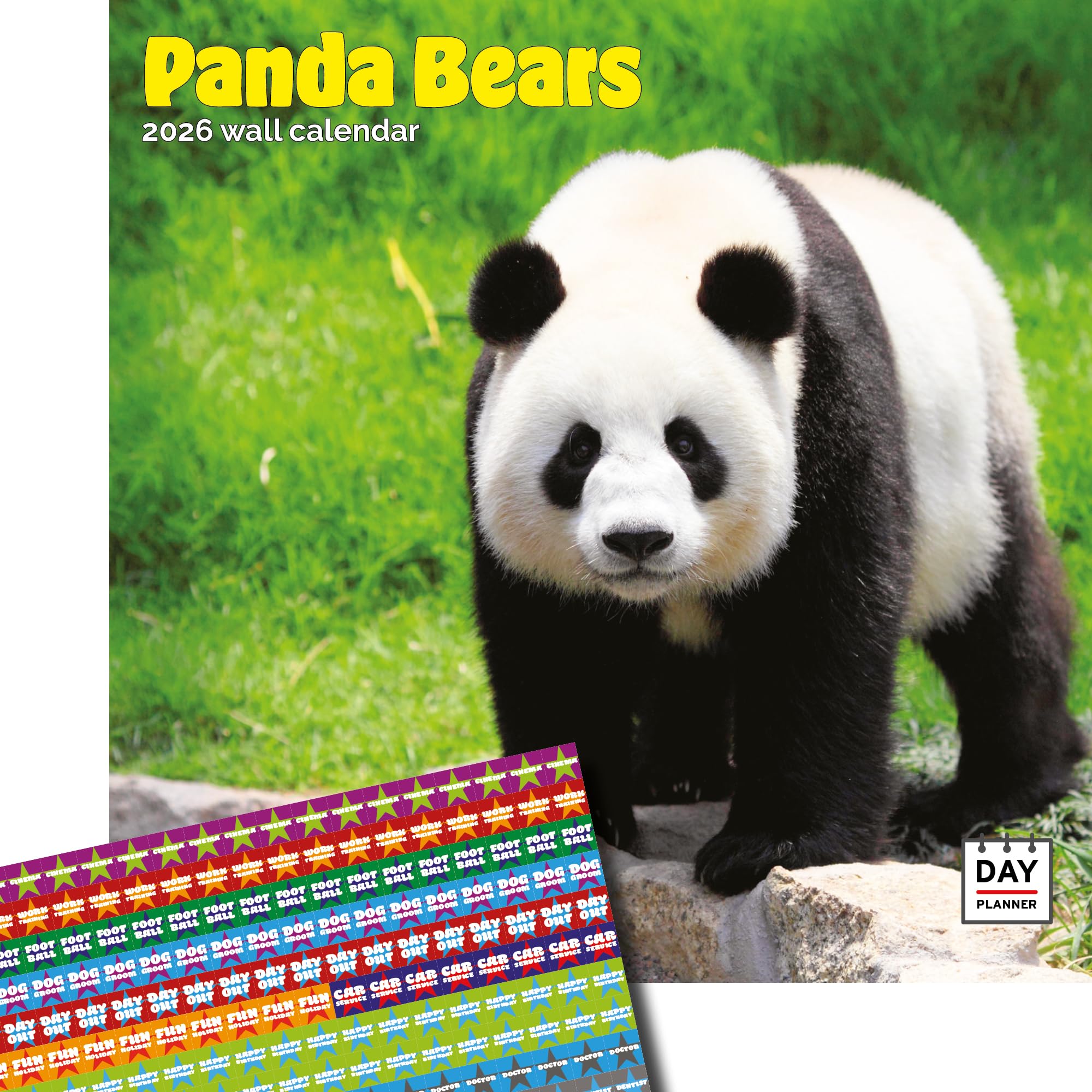 Dayplanner Publishing Panda Bears Calendar 2026, Large Square Wall Calendar With Organisational Stickers, 16 Month, Panda Bears Gift Wildlife Calendar