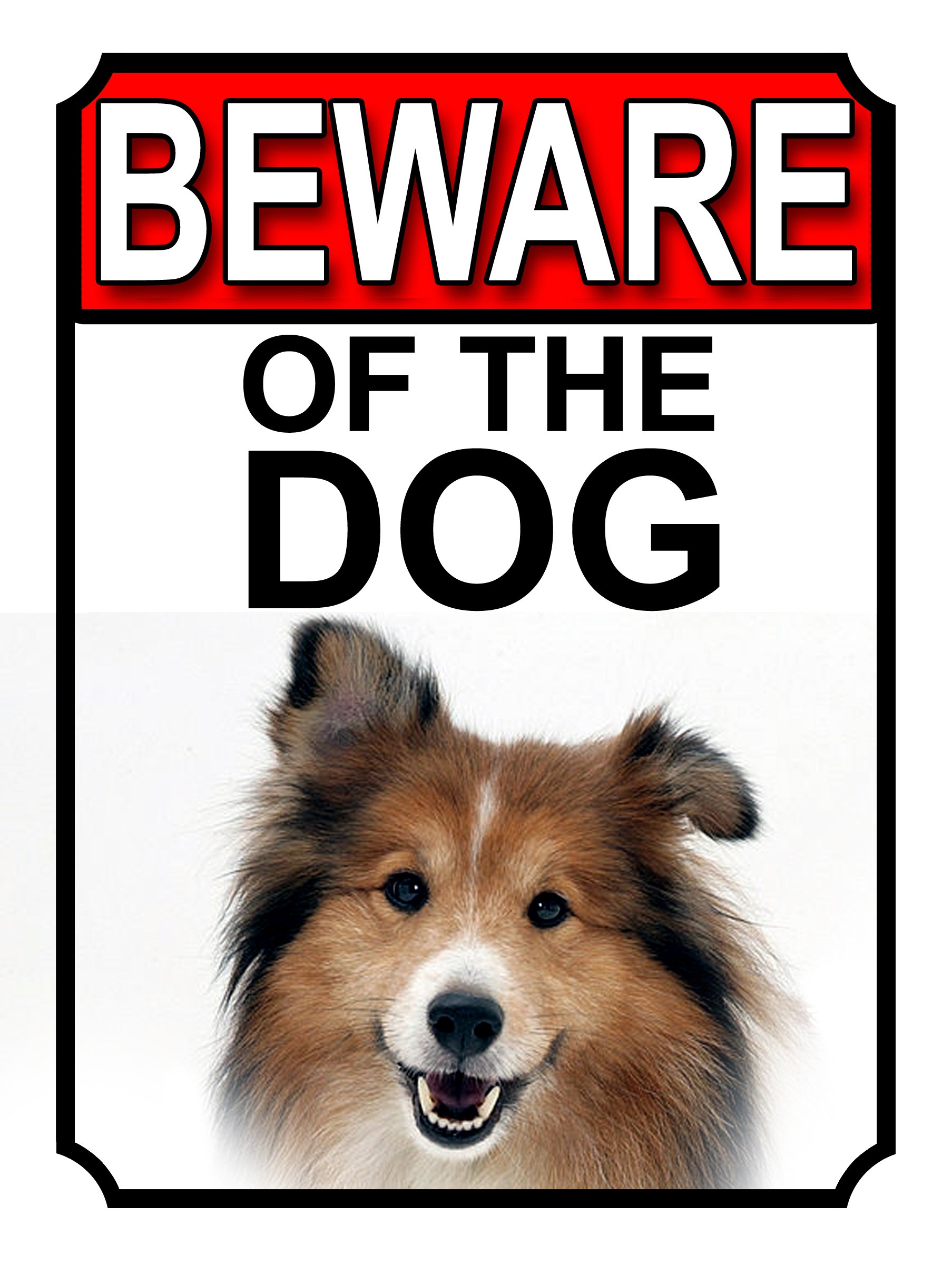 BEWARE OF THE DOG METAL GATE SIGN SHETLAND SHEEPDOG 200MM X 150MM (1152H1)