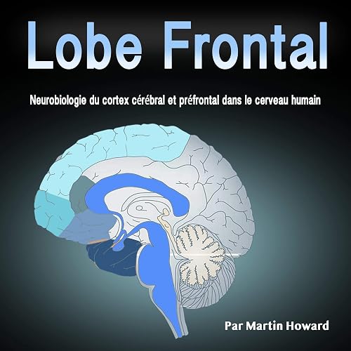 Download Lobe Frontal: Neurobiologie du Cortex Cérébral et Préfrontal Dans le Cerveau Humain PDF