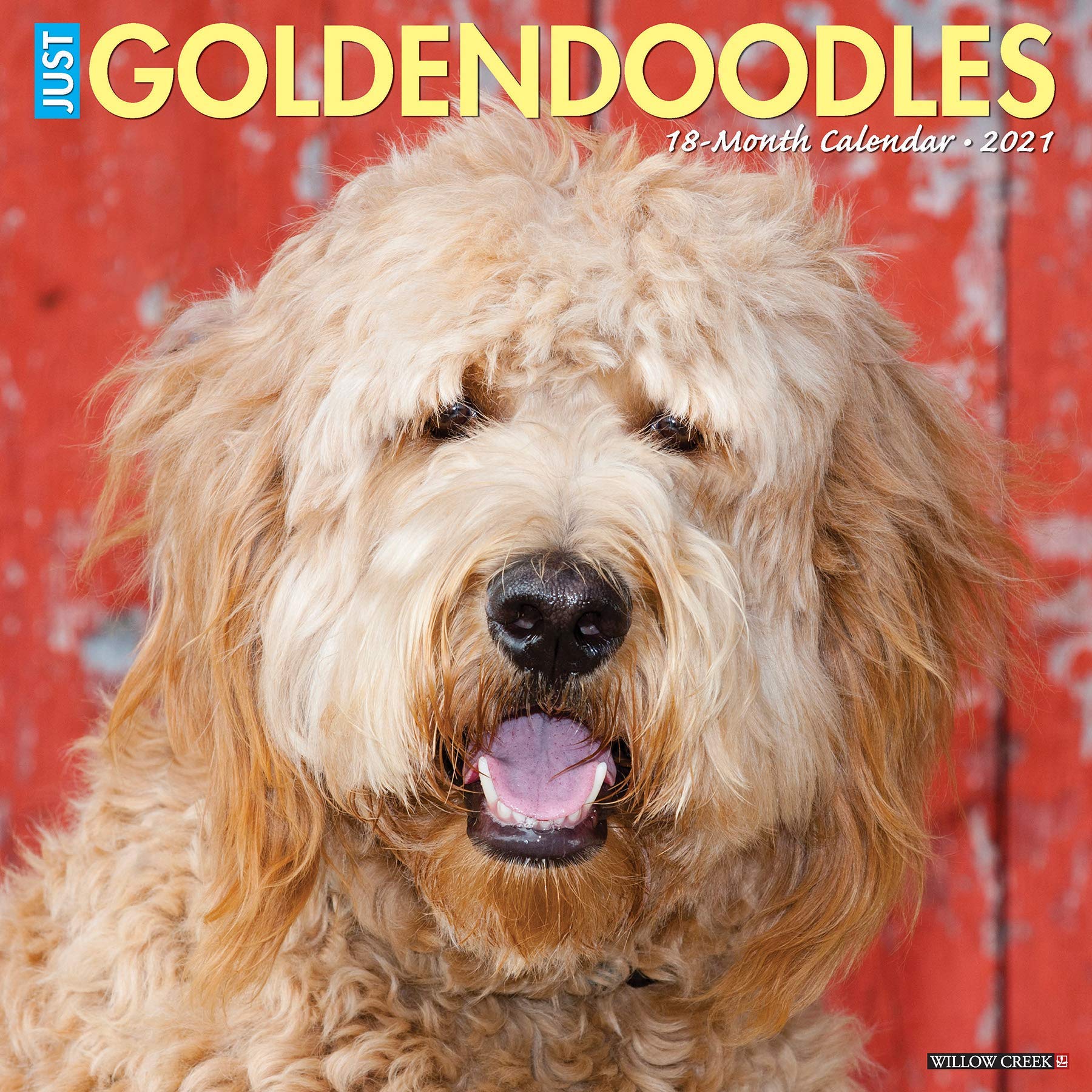 willow goldendoodles